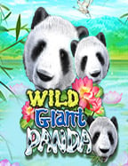 แนะนำ slot big เกมทำเงินที่ไม่ควรพลาด